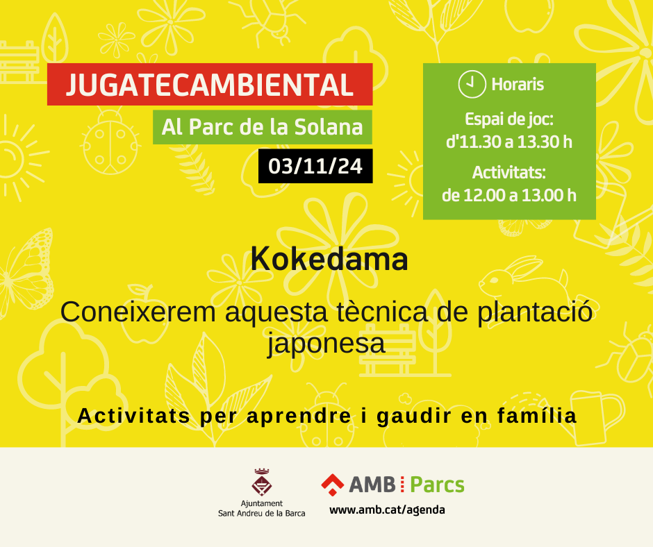 Jugateca Ambiental: Kokedama